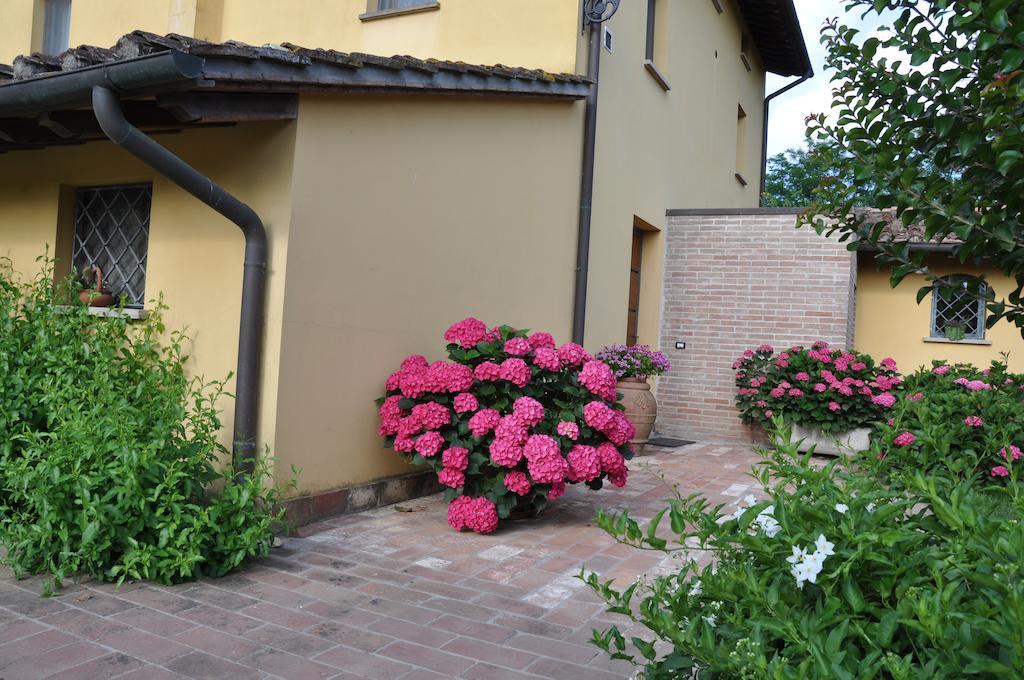 B&B Il Casolare Di Bonci Santa Maria a Monte Eksteriør billede